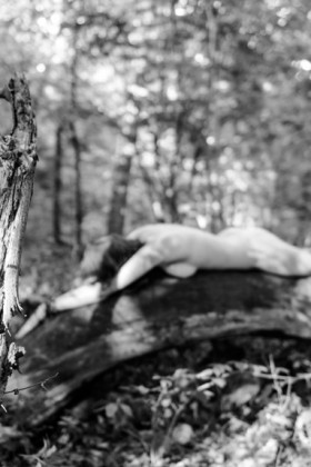 Unter Bäumen – Galerie mit 4 Fotos