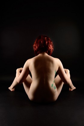 Efeu – Galerie mit 4 Fotos